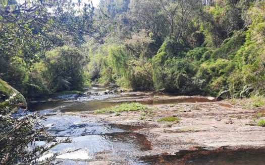 Propriedade na Serra Catarinense com Linda cachoeira !