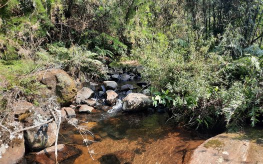 Propriedade na Serra Catarinense com Linda cachoeira !