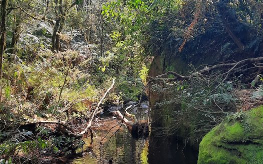 Propriedade na Serra Catarinense com Linda cachoeira !