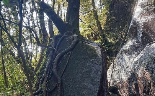 Propriedade na Serra Catarinense com Linda cachoeira !