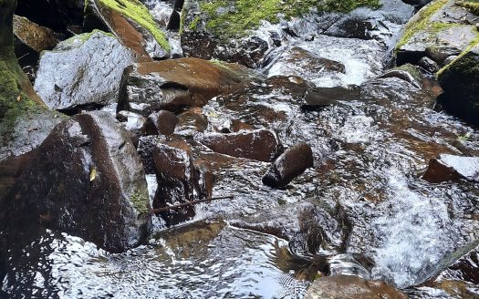 Propriedade na Serra Catarinense com Linda cachoeira !
