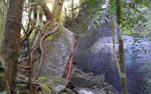 Propriedade na Serra Catarinense com Linda cachoeira !