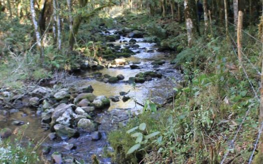 Propriedade na Serra Catarinense com Linda cachoeira !