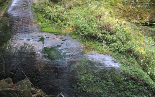 Propriedade na Serra Catarinense com Linda cachoeira !