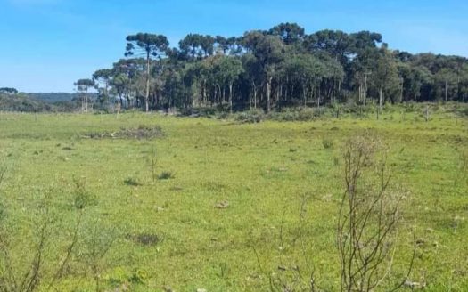 Propriedade na Serra Catarinense com Linda cachoeira !