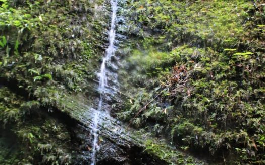 Propriedade na Serra Catarinense com Linda cachoeira !