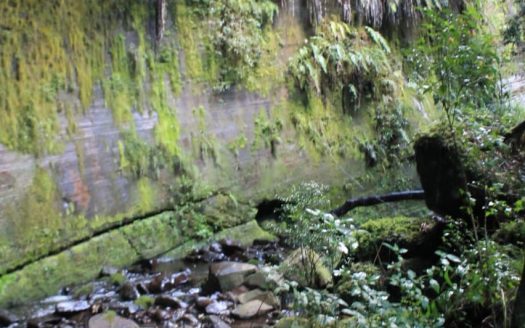 Propriedade na Serra Catarinense com Linda cachoeira !