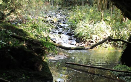 Propriedade na Serra Catarinense com Linda cachoeira !