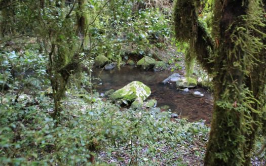 Propriedade na Serra Catarinense com Linda cachoeira !