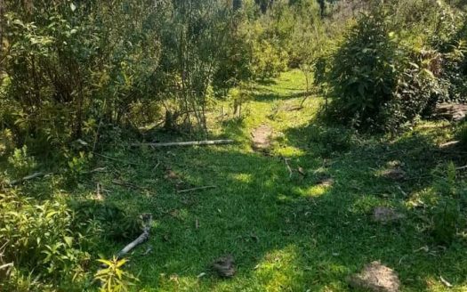 Propriedade na Serra Catarinense com Linda cachoeira !