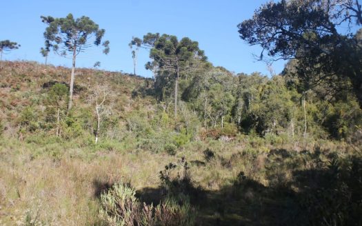 Propriedade na Serra Catarinense com Linda cachoeira !