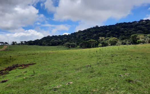 URUBICI:  Lindos terrenos rurais com 2 hectares –  Altitude: 1400 mts