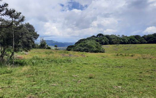 URUBICI:  Lindos terrenos rurais com 2 hectares –  Altitude: 1400 mts