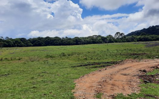 URUBICI:  Lindos terrenos rurais com 2 hectares –  Altitude: 1400 mts