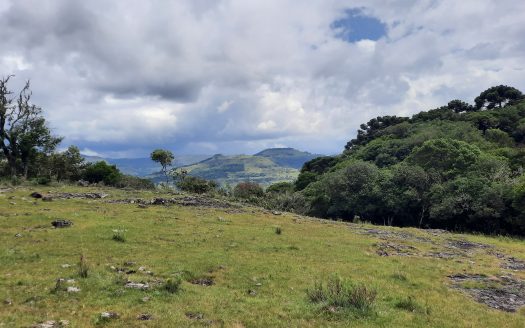 URUBICI:  Lindos terrenos rurais com 2 hectares –  Altitude: 1400 mts