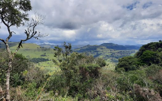 URUBICI:  Lindos terrenos rurais com 2 hectares –  Altitude: 1400 mts