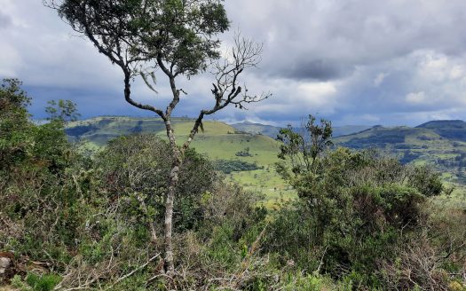URUBICI:  Lindos terrenos rurais com 2 hectares –  Altitude: 1400 mts