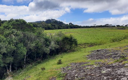 URUBICI:  Lindos terrenos rurais com 2 hectares –  Altitude: 1400 mts