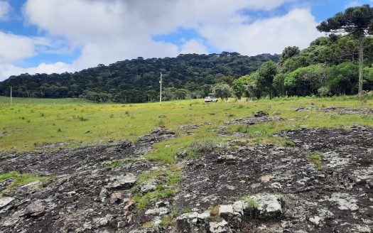 URUBICI:  Lindos terrenos rurais com 2 hectares –  Altitude: 1400 mts