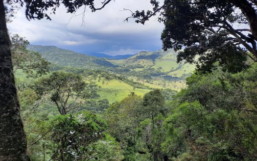URUBICI:  Lindos terrenos rurais com 2 hectares –  Altitude: 1400 mts