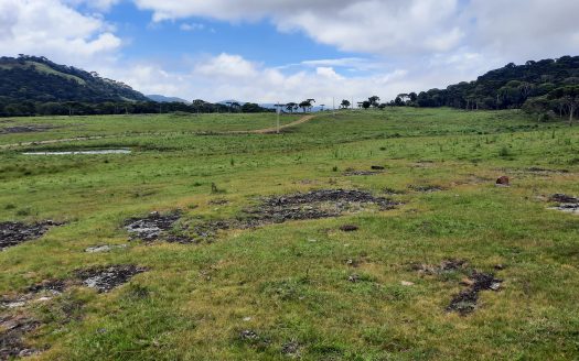 URUBICI:  Lindos terrenos rurais com 2 hectares –  Altitude: 1400 mts