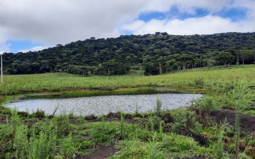 URUBICI:  Lindos terrenos rurais com 2 hectares –  Altitude: 1400 mts