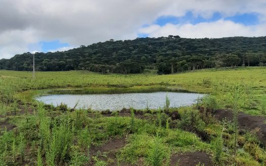 URUBICI:  Lindos terrenos rurais com 2 hectares –  Altitude: 1400 mts