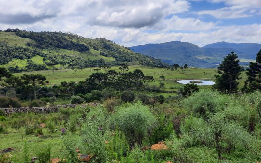 URUBICI:  Lindos terrenos rurais com 2 hectares –  Altitude: 1400 mts