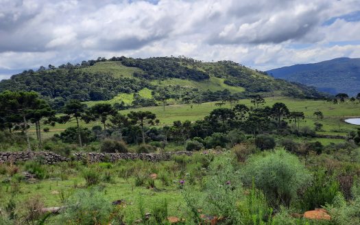 URUBICI:  Lindos terrenos rurais com 2 hectares –  Altitude: 1400 mts