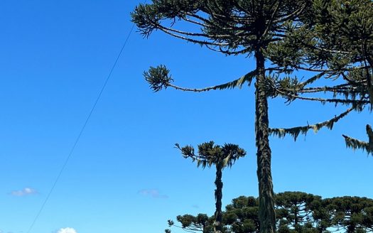 URUBICI:  Cabana nova frente ao lago –  CONFIRA !!!