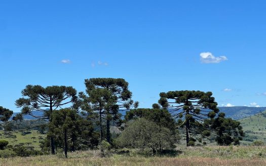 URUBICI:  Cabana nova frente ao lago –  CONFIRA !!!