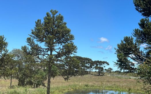 URUBICI:  Cabana nova frente ao lago –  CONFIRA !!!