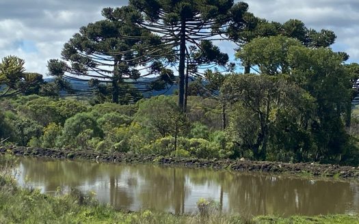 URUBICI:  Cabana nova frente ao lago –  CONFIRA !!!