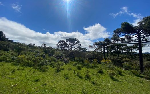 URUBICI:  Cabana nova frente ao lago –  CONFIRA !!!