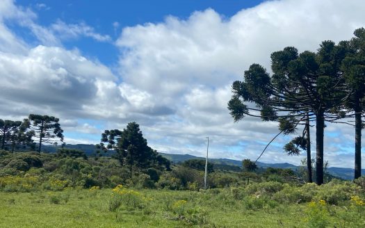 URUBICI:  Cabana nova frente ao lago –  CONFIRA !!!