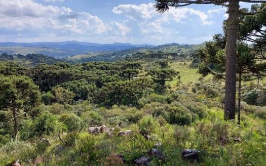 URUBICI:  Sítio 2 Hectares com casa nova: 84 m2