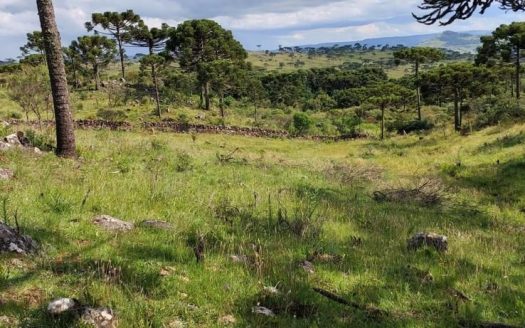 URUBICI:  Sítio 2 Hectares com casa nova: 84 m2