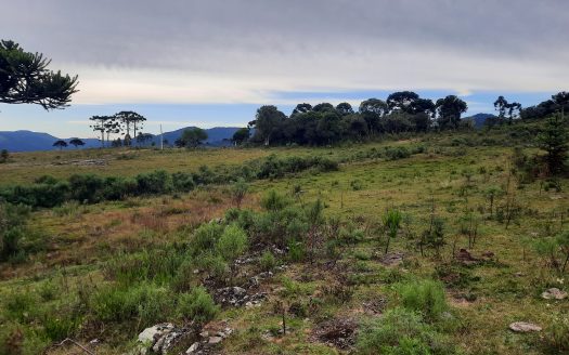 URUBICI:  Lindo sítio com 2 hectares – Vista 360*