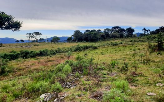 URUBICI:  Lindo sítio com 2 hectares – Vista 360*