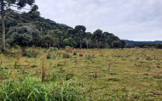 URUBICI:  Lindo sítio com 2 hectares – Vista 360*