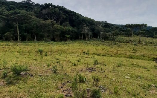 URUBICI:  Lindo sítio com 2 hectares – Vista 360*
