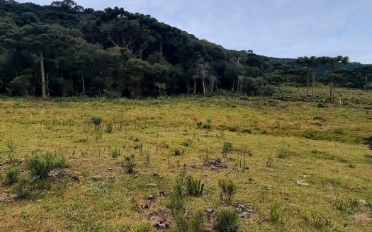 URUBICI:  Lindo sítio com 2 hectares – Vista 360*