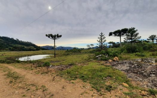 URUBICI:  Lindo sítio com 2 hectares – Vista 360*