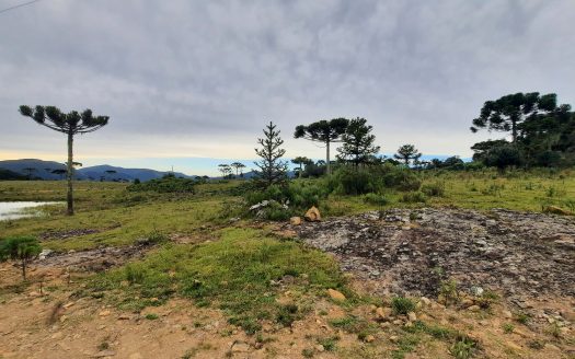 URUBICI:  Lindo sítio com 2 hectares – Vista 360*
