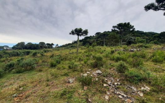 URUBICI:  Lindo sítio com 2 hectares – Vista 360*