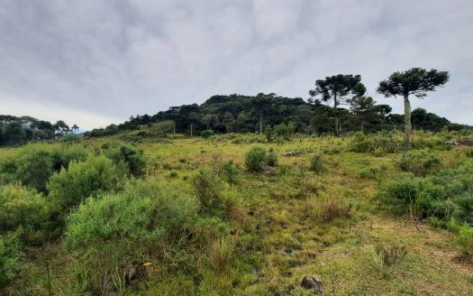 URUBICI:  Lindo sítio com 2 hectares – Vista 360*