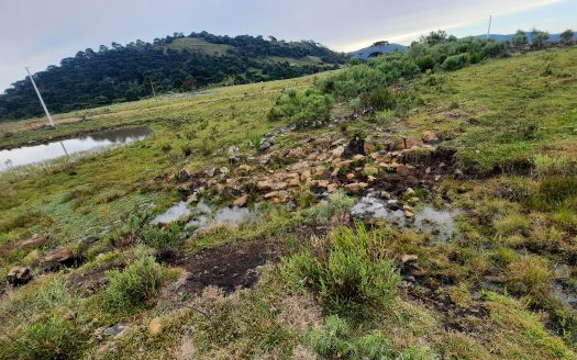 URUBICI:  Lindo sítio com 2 hectares – Vista 360*
