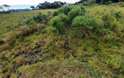 URUBICI:  Lindo sítio com 2 hectares – Vista 360*