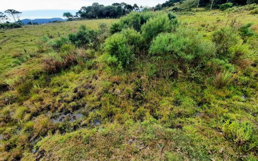 URUBICI:  Lindo sítio com 2 hectares – Vista 360*