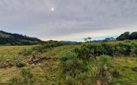 URUBICI:  Lindo sítio com 2 hectares – Vista 360*